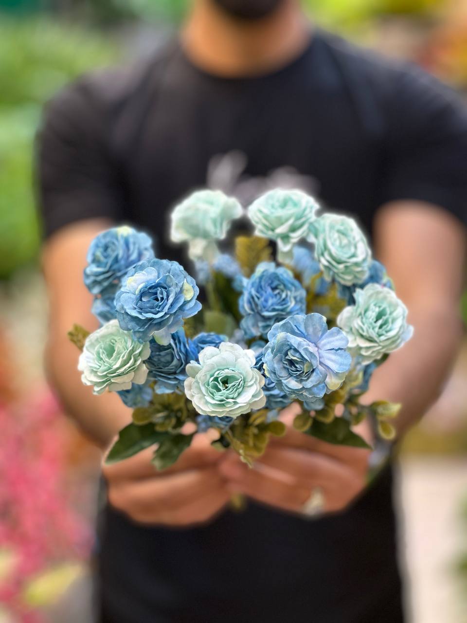 بوته داودی سرخس دار ابی