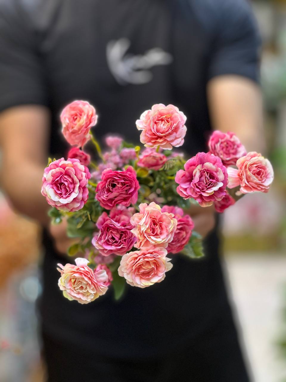بوته داودی سرخس دار سرخابی