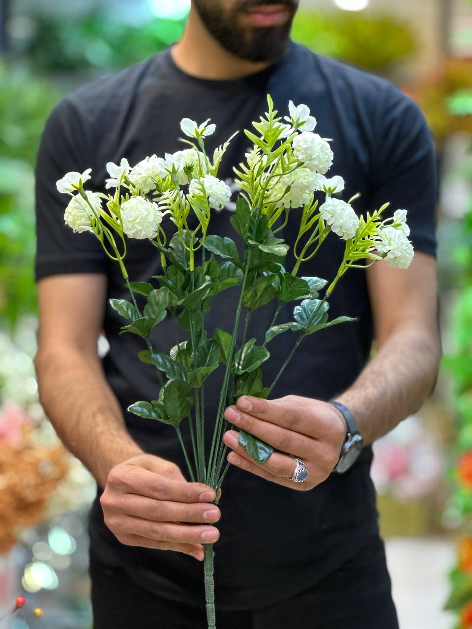 بوته داودی بلند