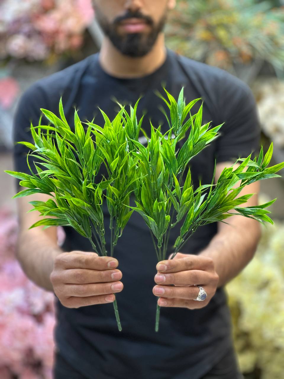 بوته برگ ریحون