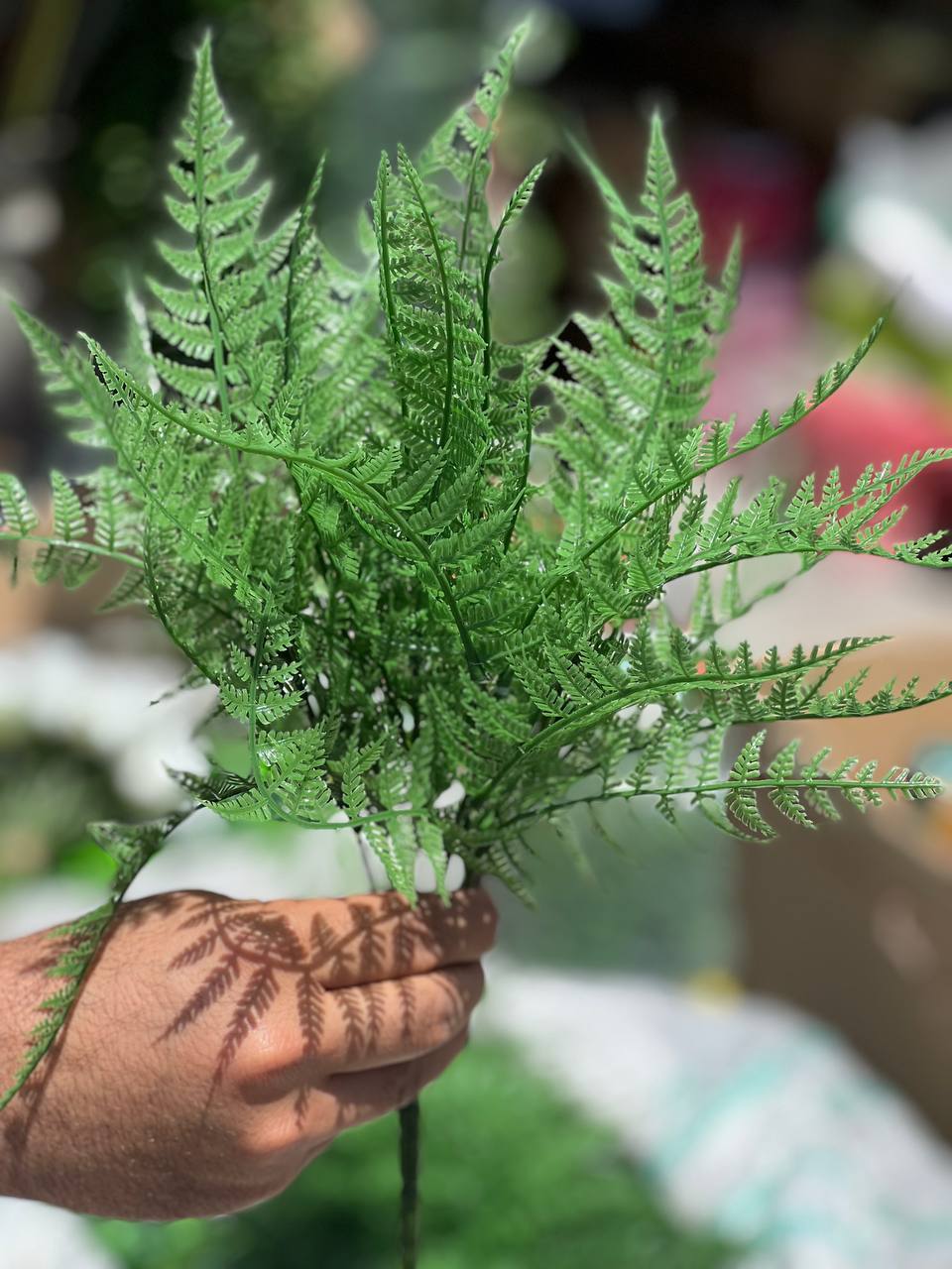 سرخس مصنوعی سبز