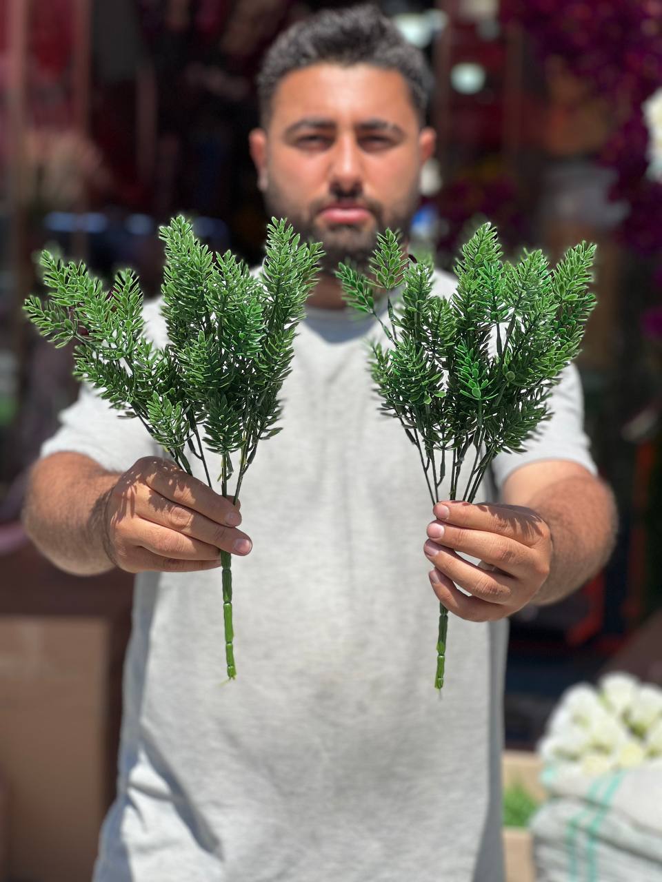 بوته برگ مصنوعی مخروطی