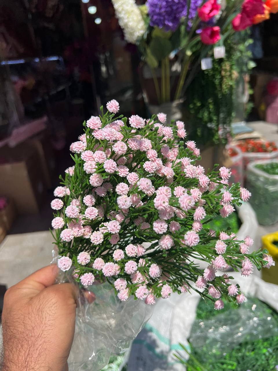 بوته گل ژیپسوفیلا صورتی