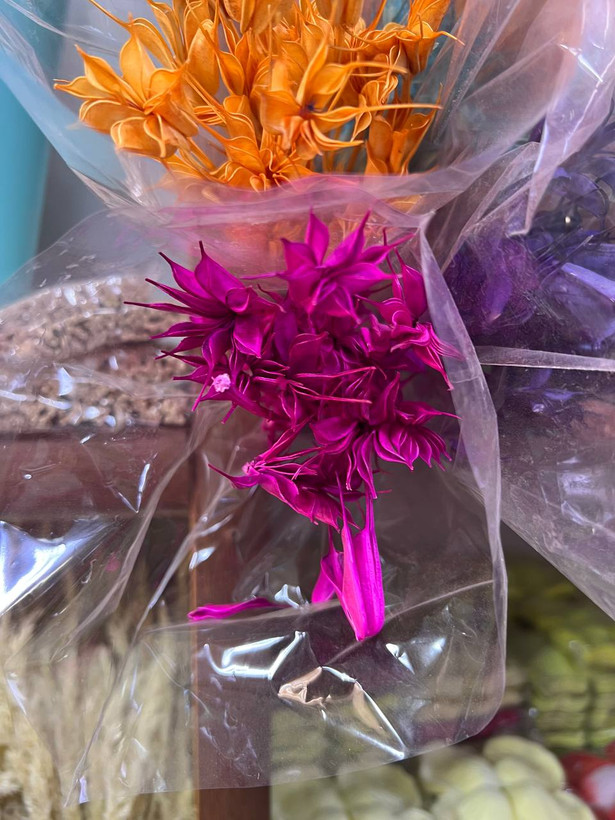 گل خشک لاله سوزنی رنگ آبی