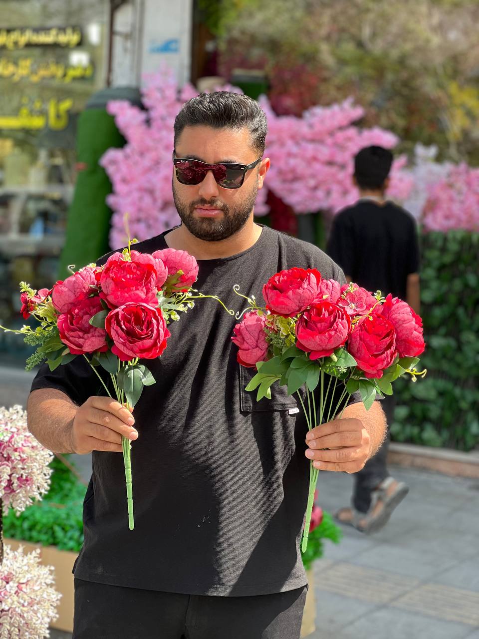 بوته پیونی قرمز۱۰گل