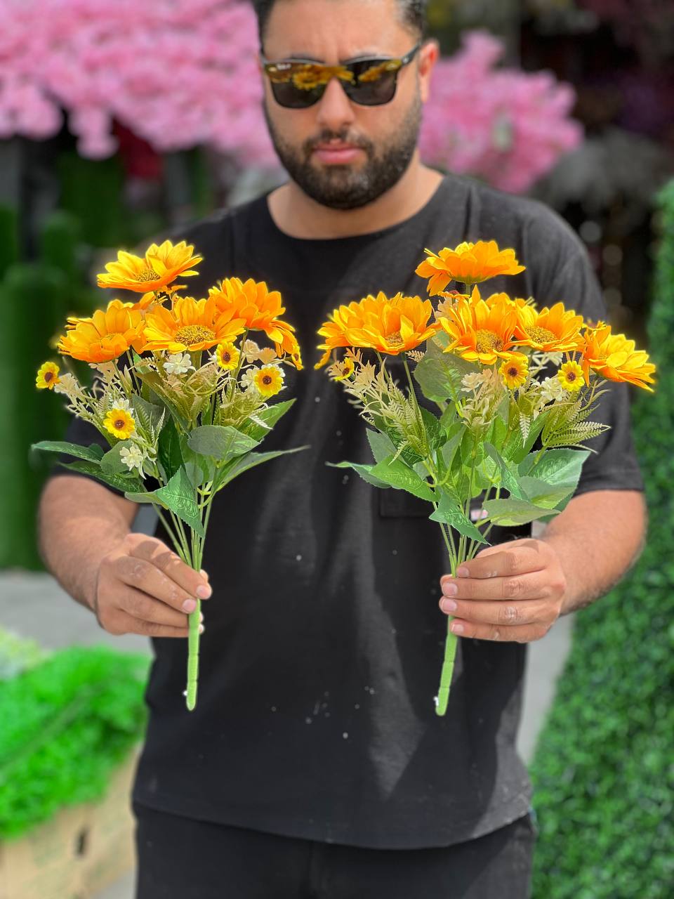 بوته افتابگردون۷گل
