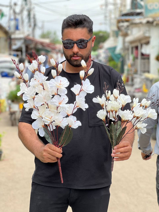 گل آلستر بلند سفید