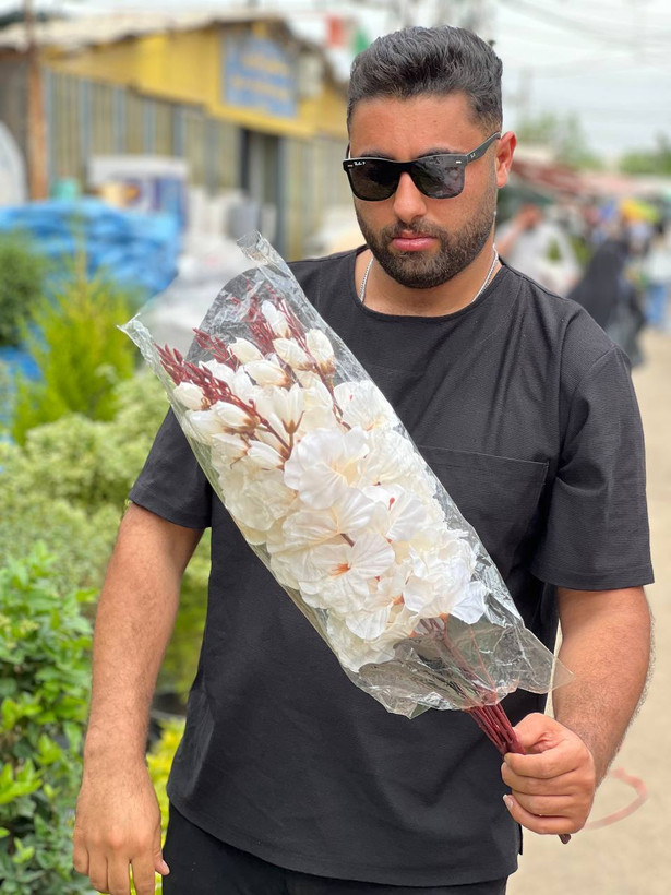 گل آلستر بلند سفید