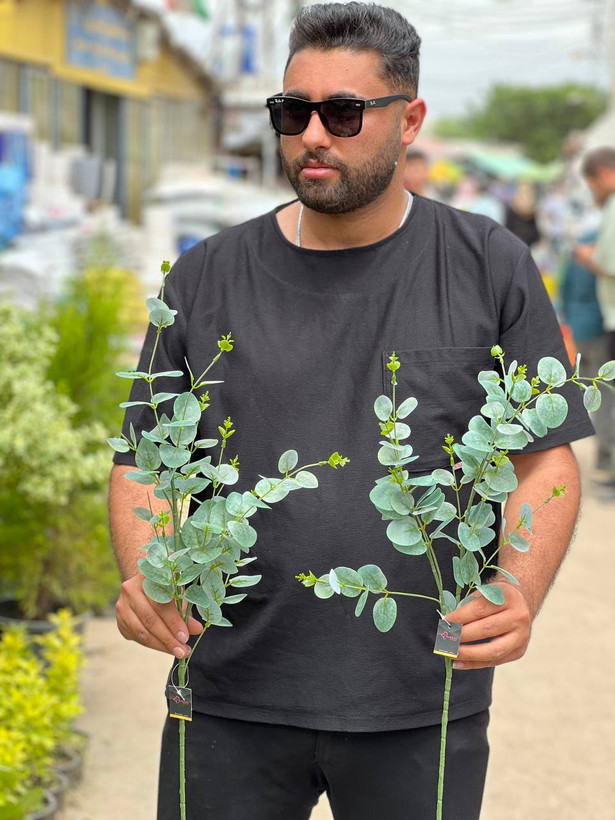 برگ اکالیپتوس مصنوعی لمسی