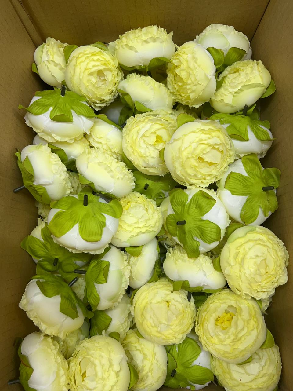 سرگل پیونی (پائونی) سایز بزرگ رنگ  10عددی