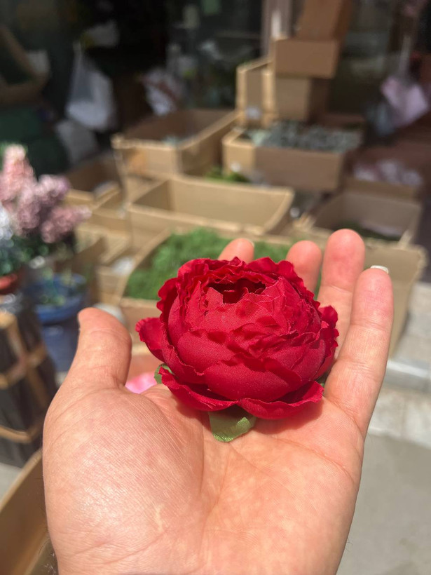 سرگل پیونی (پائونی) بزرگ رنگ قرمز 10عددی