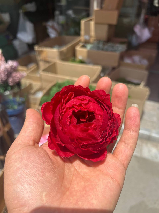 سرگل پیونی (پائونی) بزرگ رنگ قرمز 10عددی