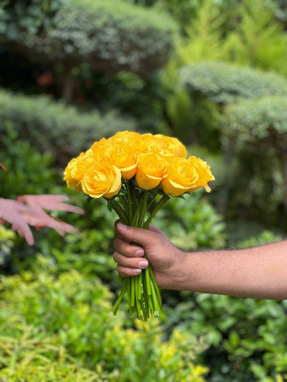 گل مصنوعی رز هلندی زرد مجموعه 10 عددی