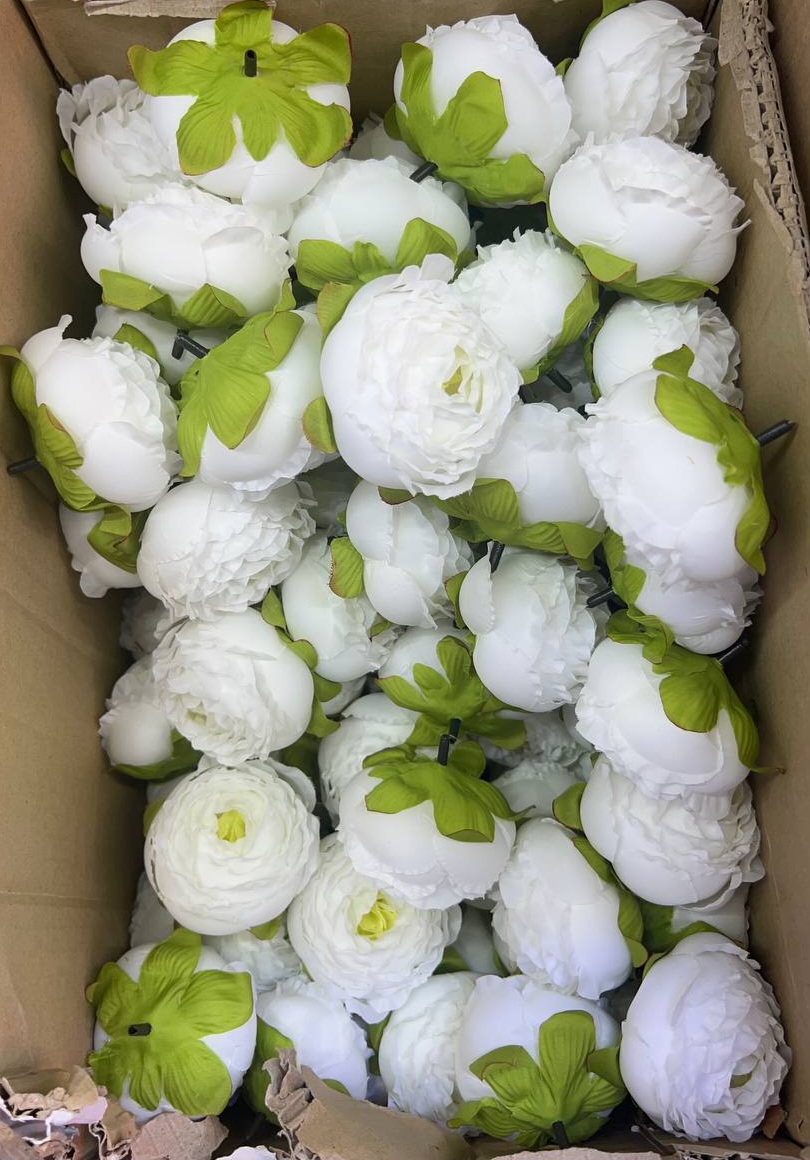 سرگل پیونی (پائونی) بزرگ رنگ سفید 10عددی