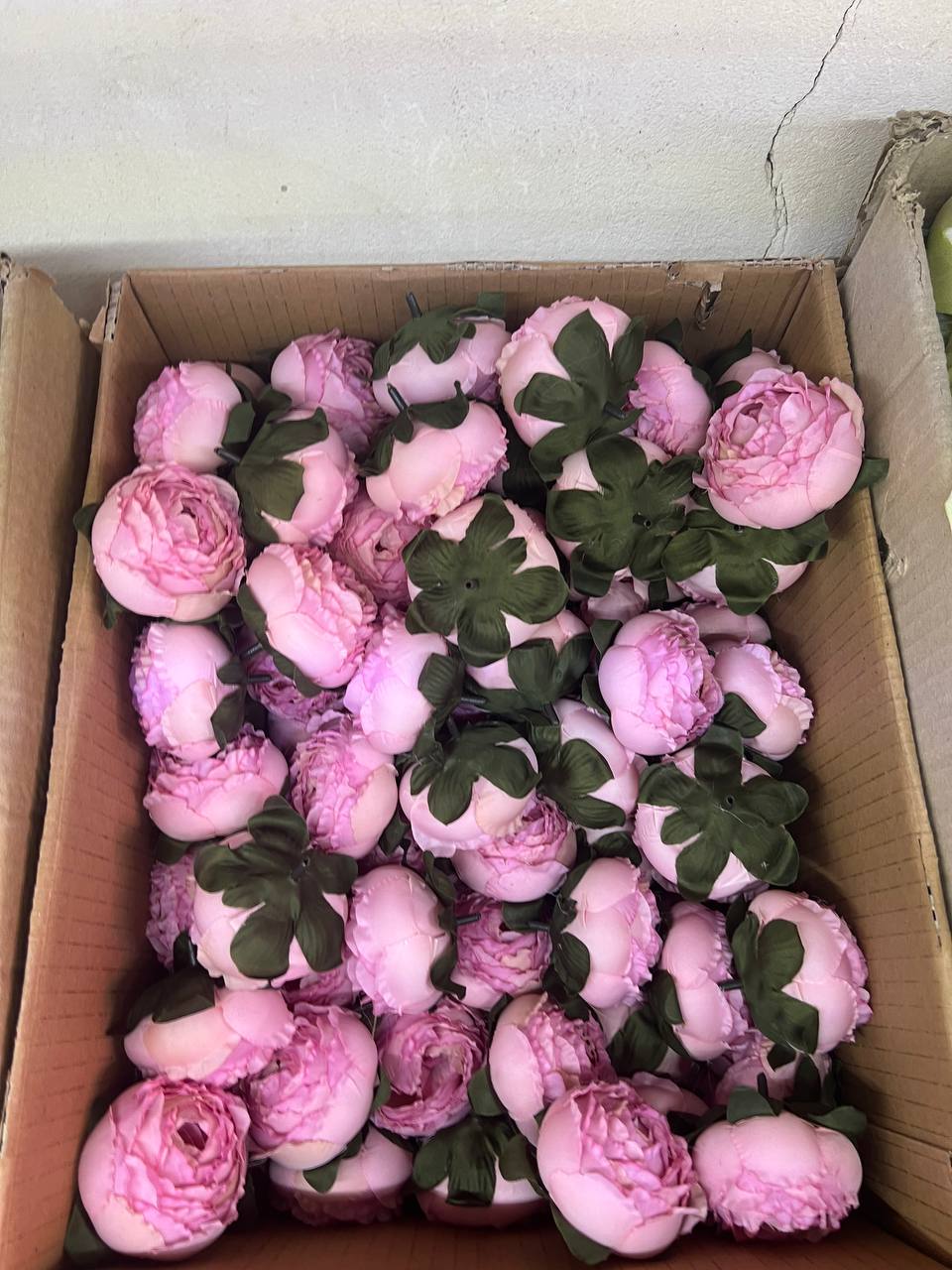سرگل پیونی (پائونی) بزرگ رنگ صورتی کمرنگ رو به بنفش 10عددی