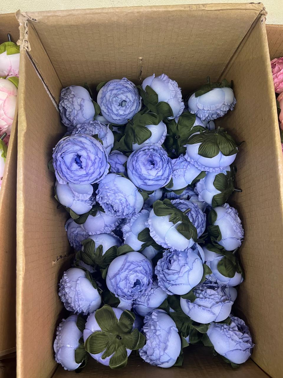 سرگل پیونی (پائونی) بزرگ رنگ آبی 10عددی