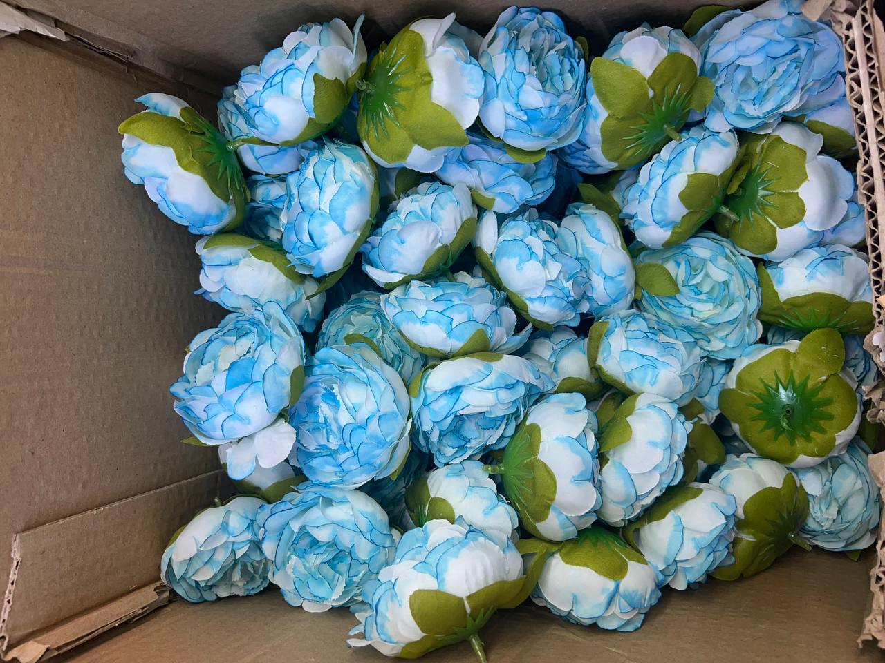 سرگل پیونی (پائونی) بزرگ دورنگ آبی سفید 10عددی