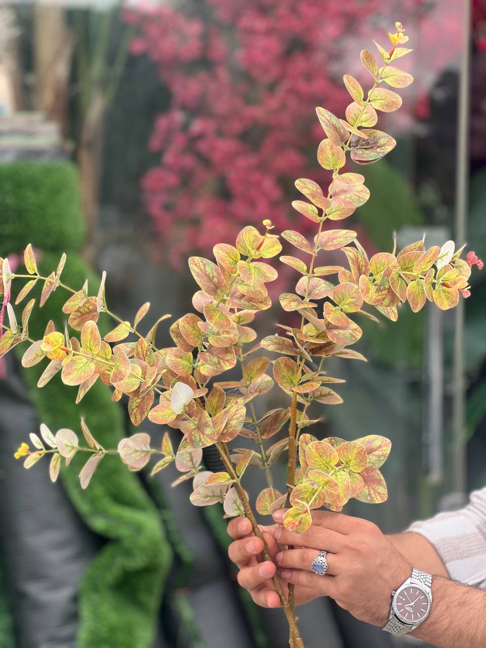 اکالیپتوس دو رنگ لمسی وارداتی