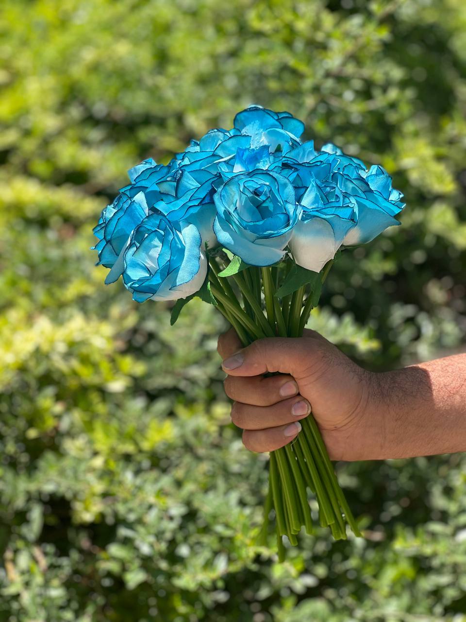 گل مصنوعی رز هلندی دورنگ آبی و سفید مجموعه 10عددی