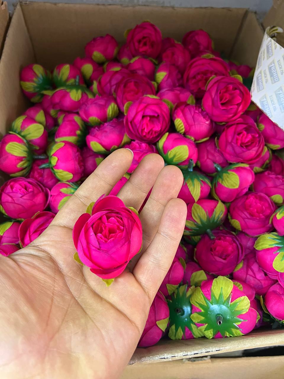 سرگل پیونی کوچک رنگ سرخ ابی ۱۰عددی