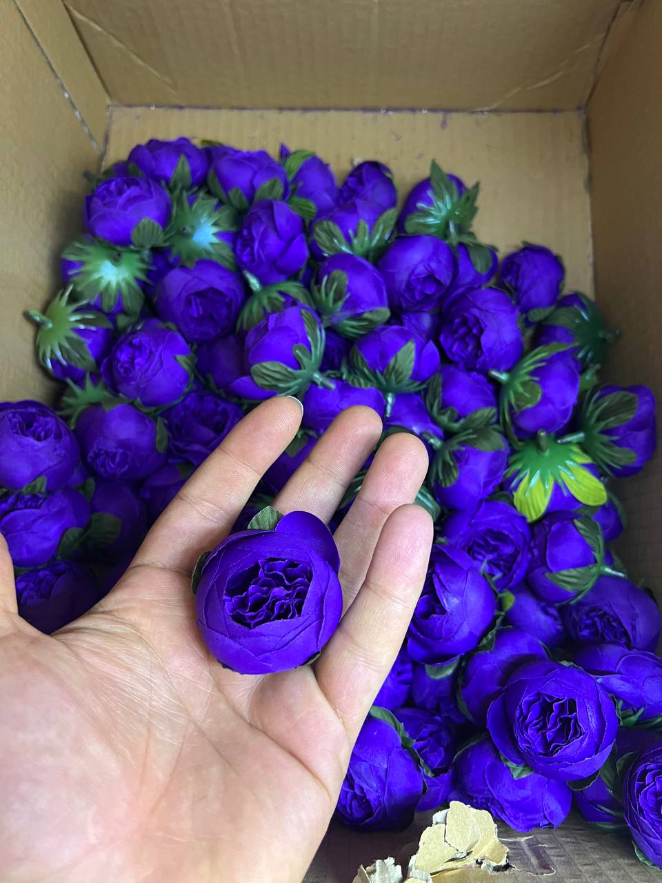 سرگل پیونی کوچک رنگ بنفش ۱۰عددی