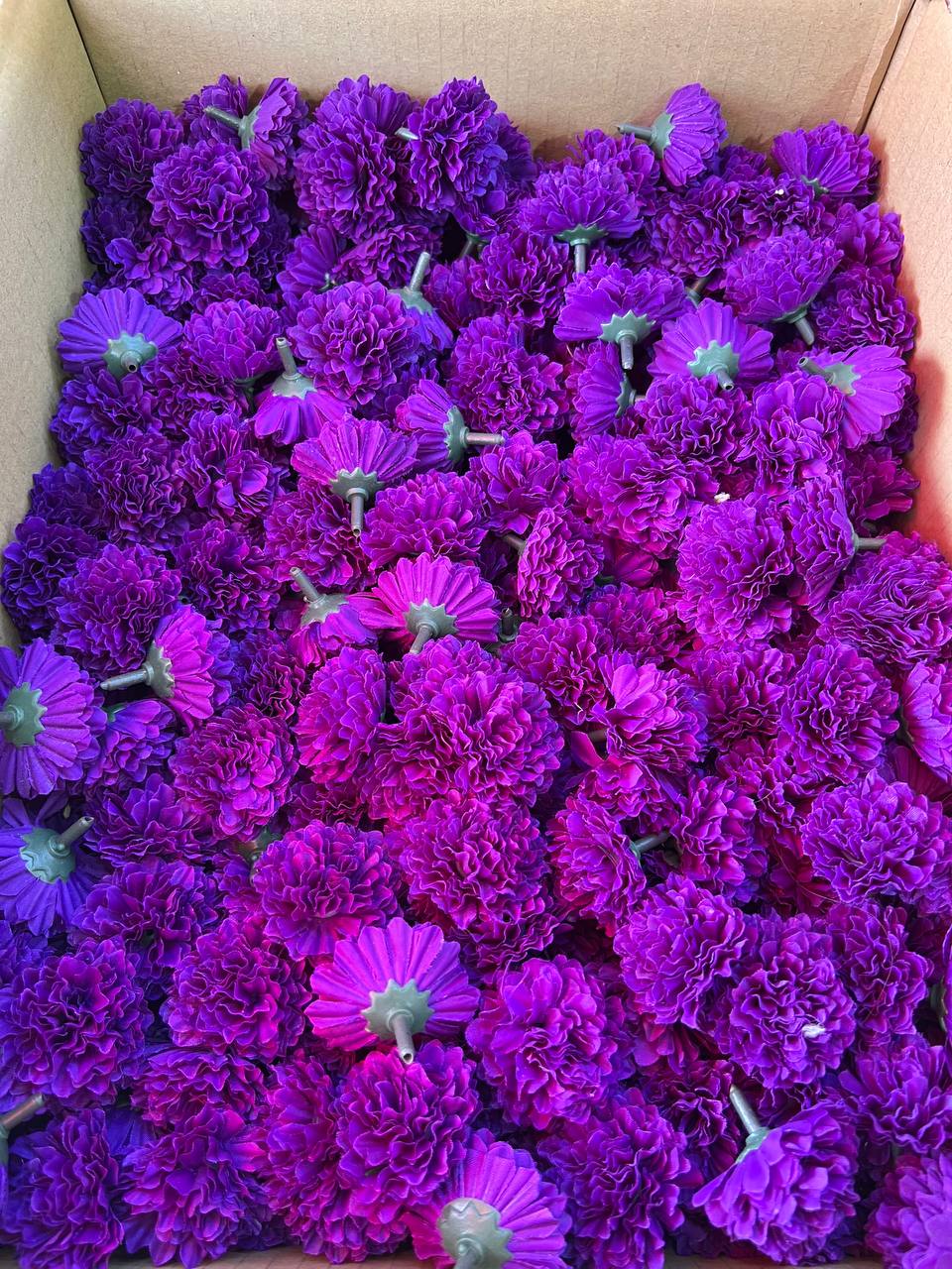 سرگل بدون ساقه داوودی رنگ پوست پیازی (سایزکوچک) ۱۰عددی