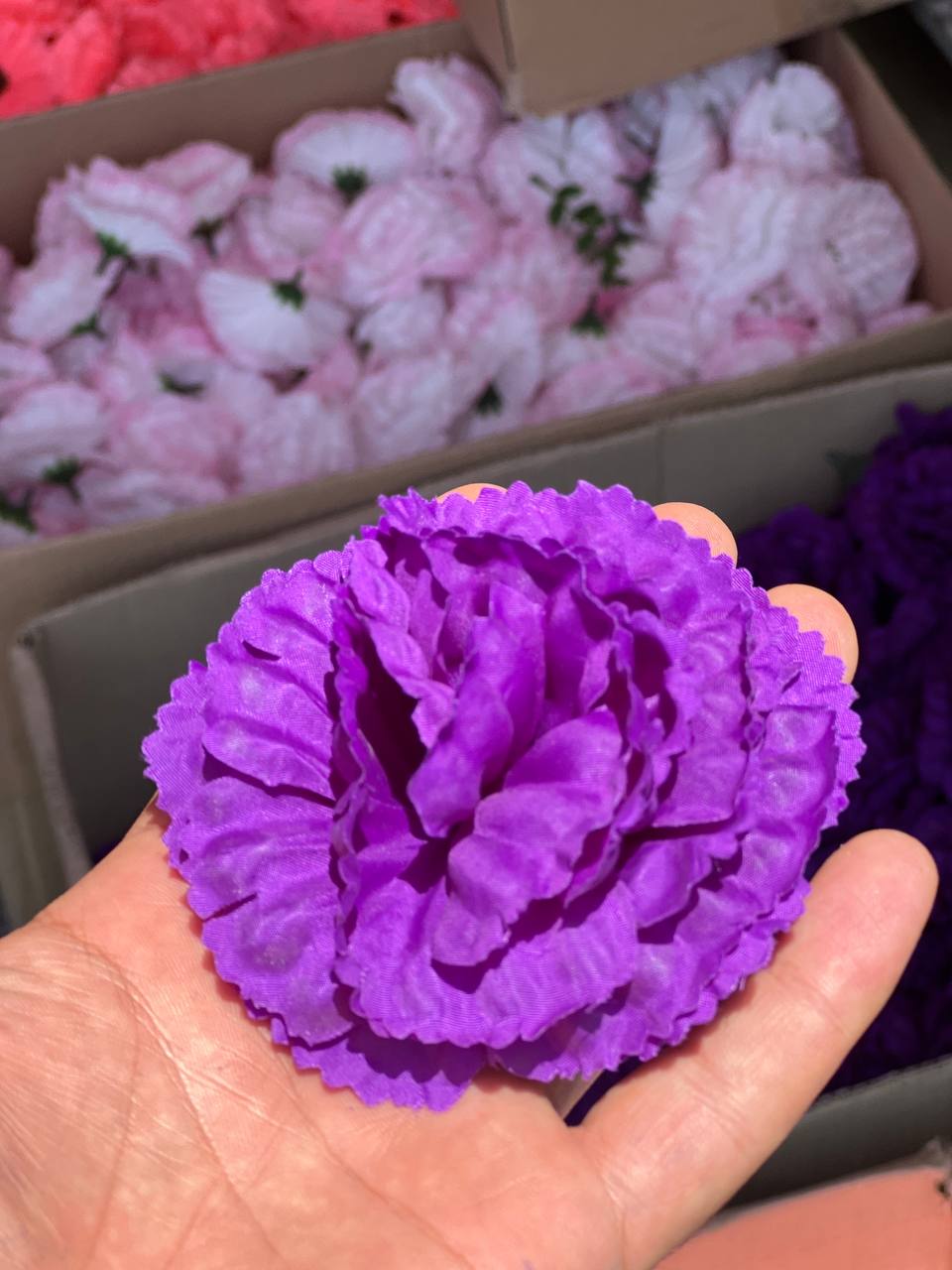 سرگل بدون ساقه میخک بنفش(سایزبزرگ) ۱۰عددی