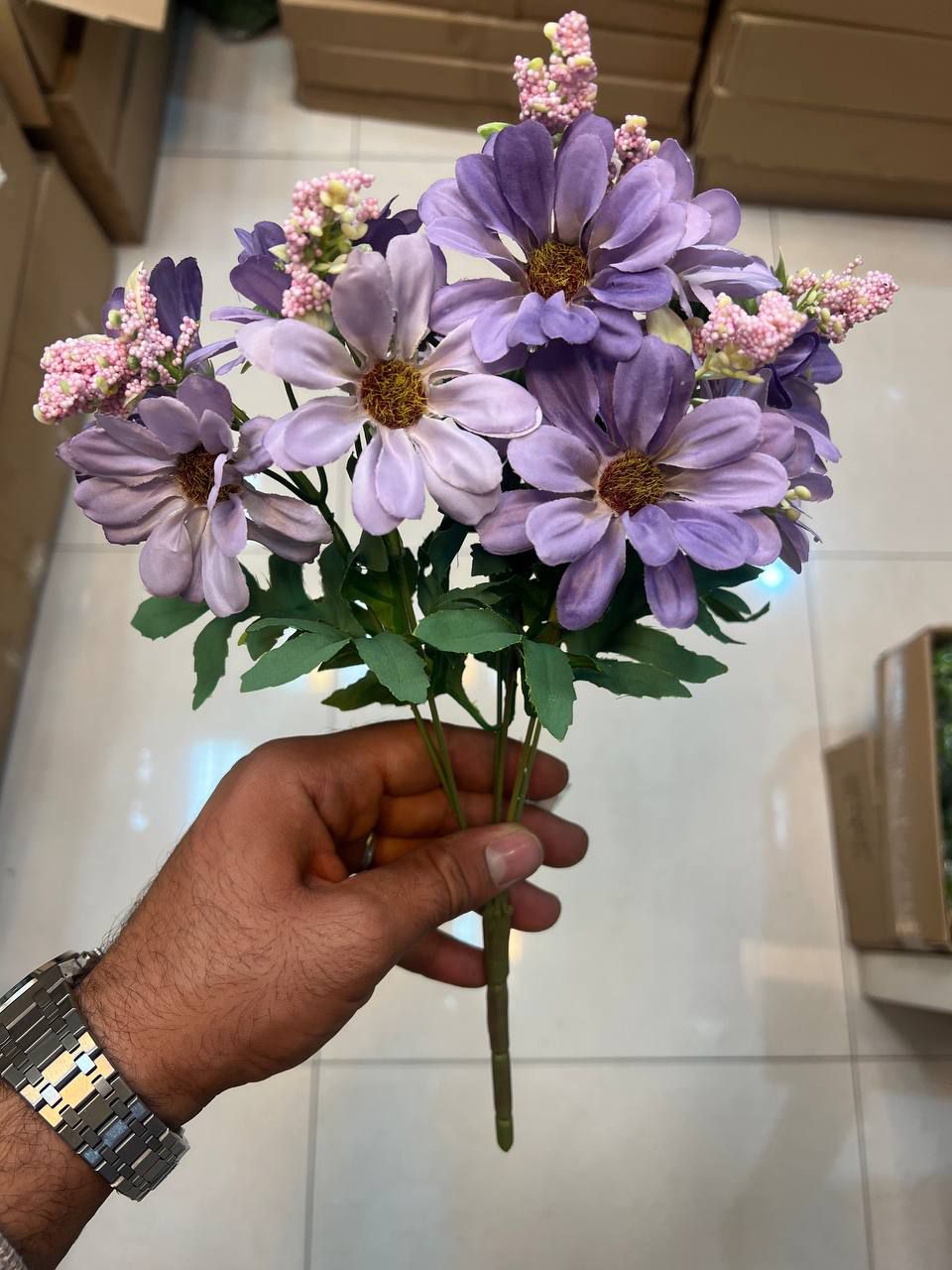 بوته کوکب مصنوعی بنفش