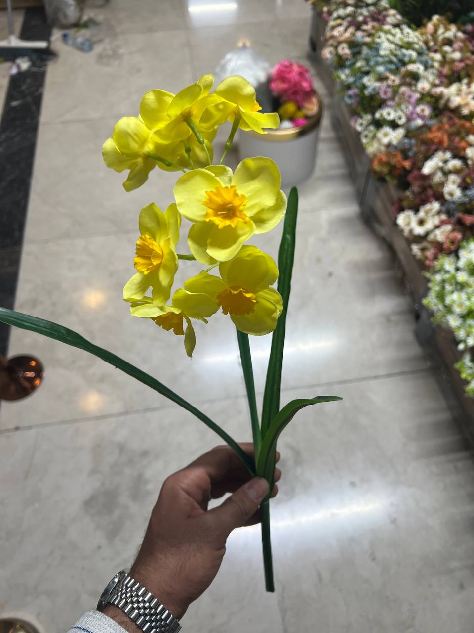 بوته نرگس زرد دو شاخه