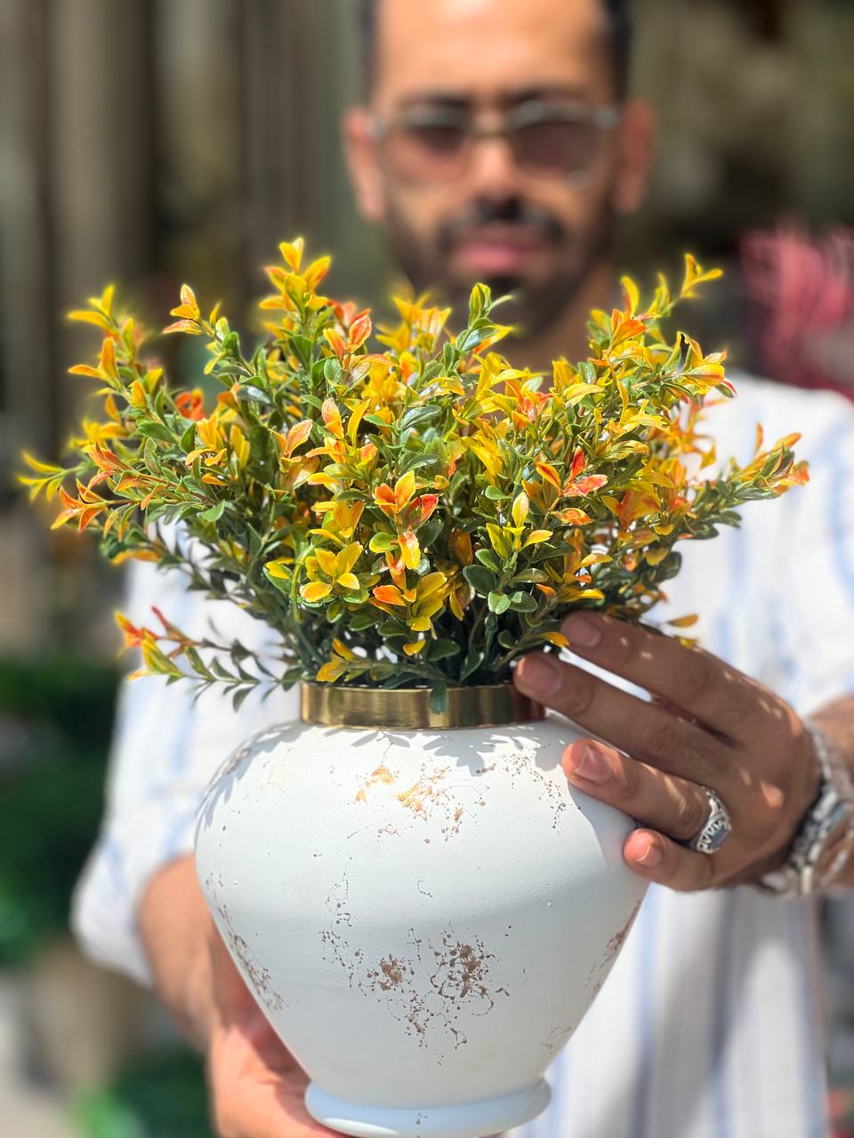 بوته اناری لبه دورنگ (تم پاییزی)