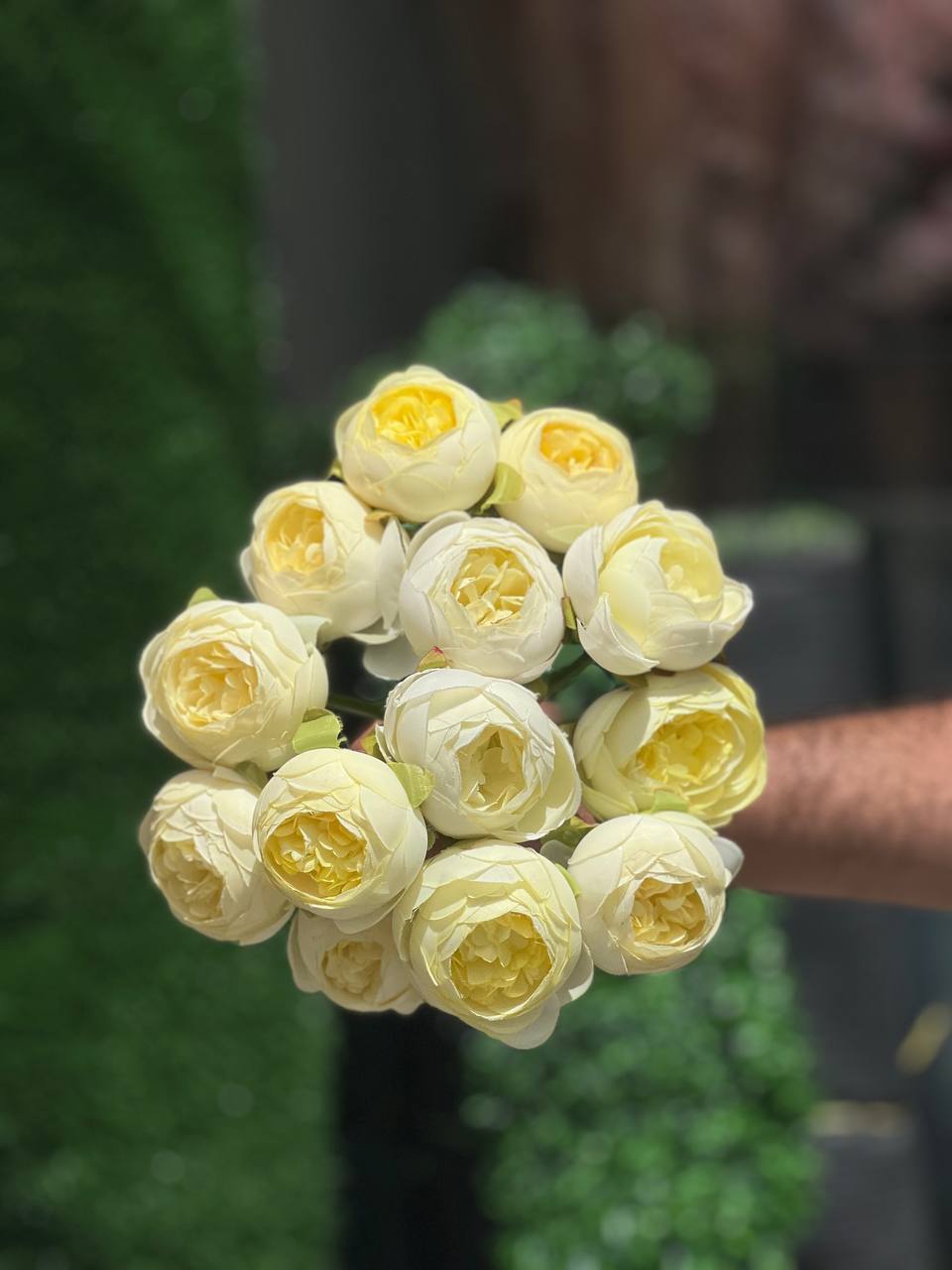 سرگل پیونی با ساقه متوسط رنگ لیمویی ۱۰ عددی