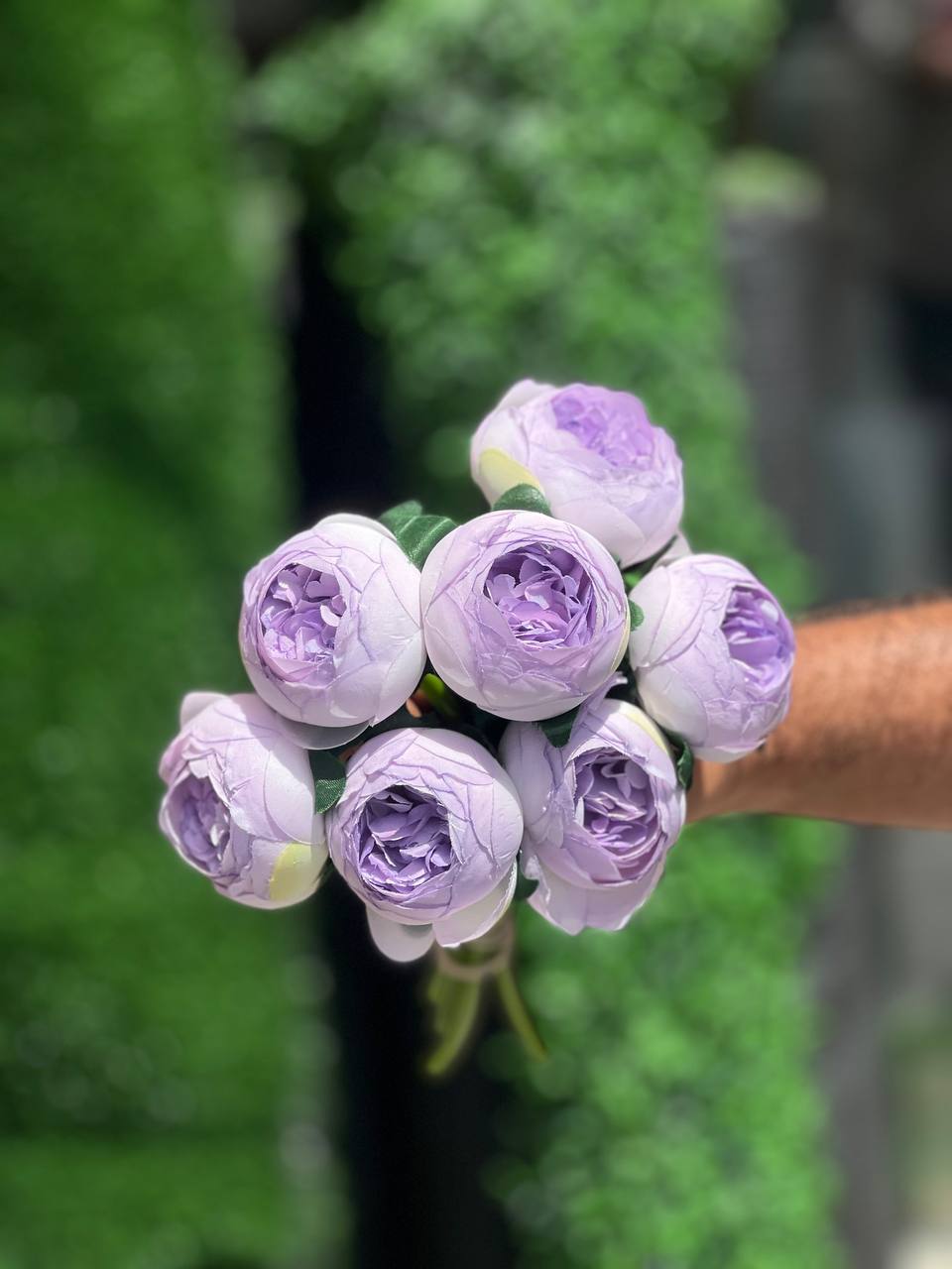 سرگل پیونی با ساقه متوسط رنگ بنفش ۱۰ عددی