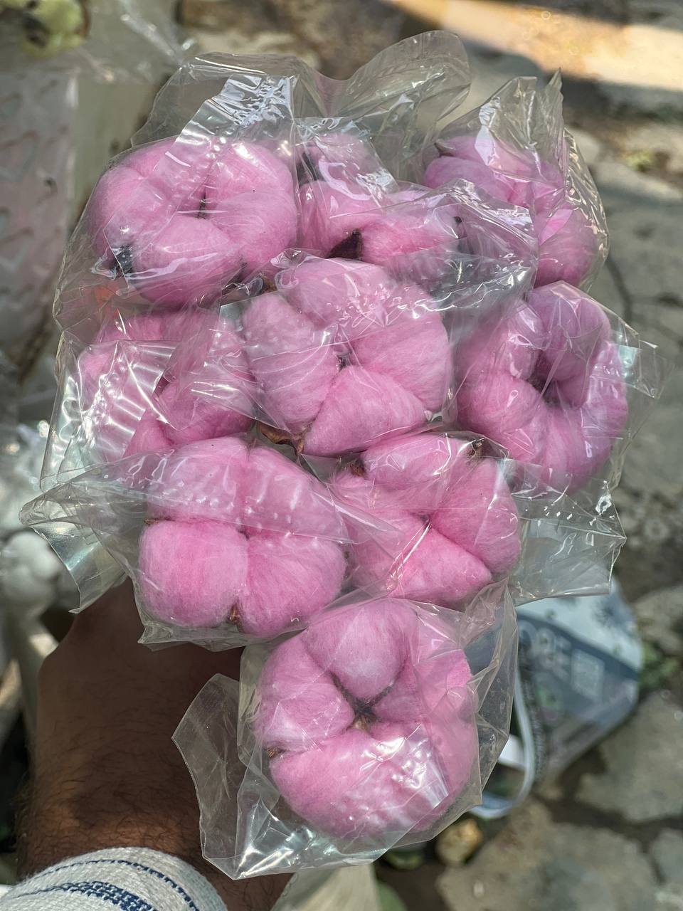 گل خشک پنبه صورتی ۱۰ تایی