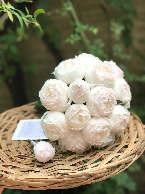 دسته گل پیونی۱۶ شاخه سفید و صورتی(هایپررئال) + گل کت داماد