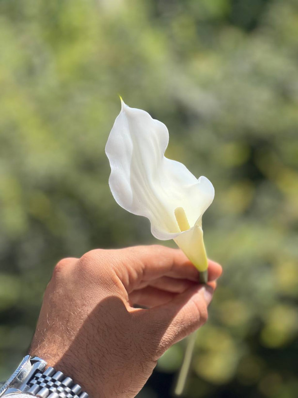شیپوری مصنوعی ژله ای (کاله لی لی) وارداتی رنگ ثابت فوق طبیعی (هایپر رئال) ۱عددی 30سانتی