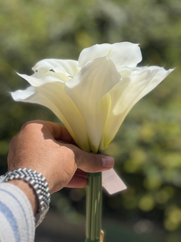 شیپوری مصنوعی ژله ای (کاله لی لی) وارداتی رنگ ثابت فوق طبیعی (هایپر رئال) ۱عددی 30سانتی