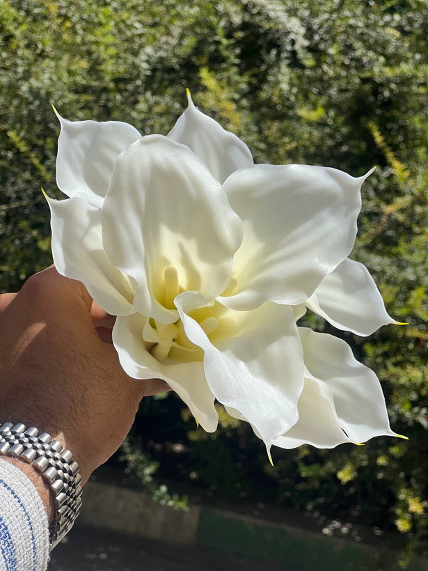 شیپوری مصنوعی ژله ای (کاله لی لی) وارداتی رنگ ثابت فوق طبیعی (هایپر رئال) ۱عددی 30سانتی