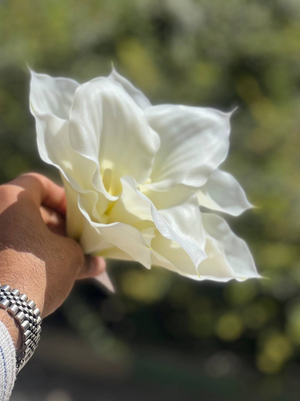 شیپوری مصنوعی ژله ای (کاله لی لی) وارداتی رنگ ثابت فوق طبیعی (هایپر رئال) ۱عددی 30سانتی