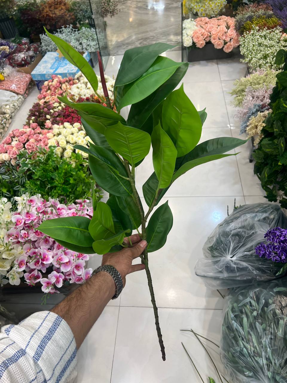 شاخه فیکوس مصنوعی