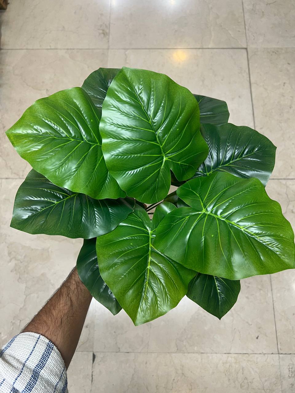 بوته برگ بابا ادم مصنوعی ۱۲ برگ