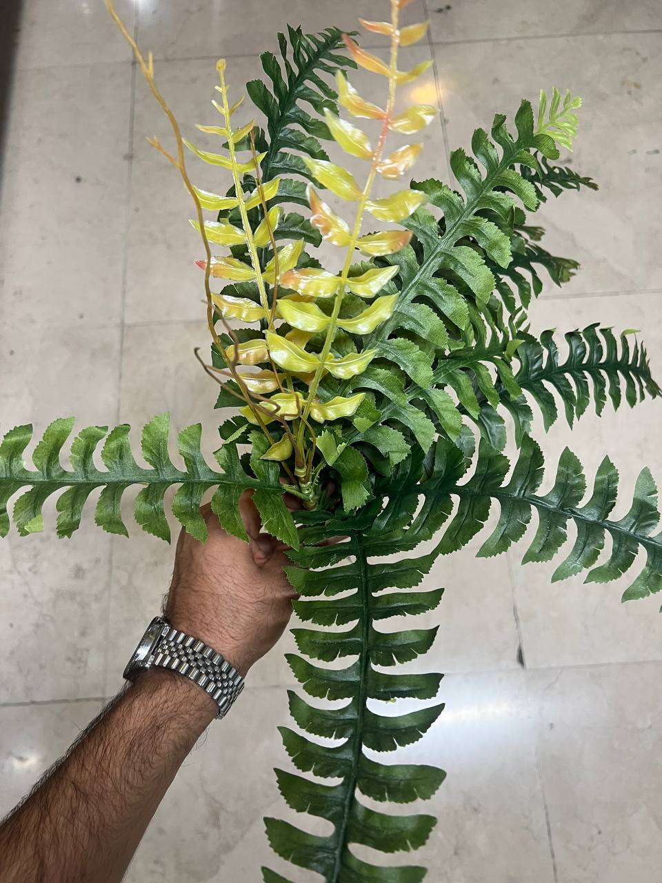 بوته سرخس مصنوعی