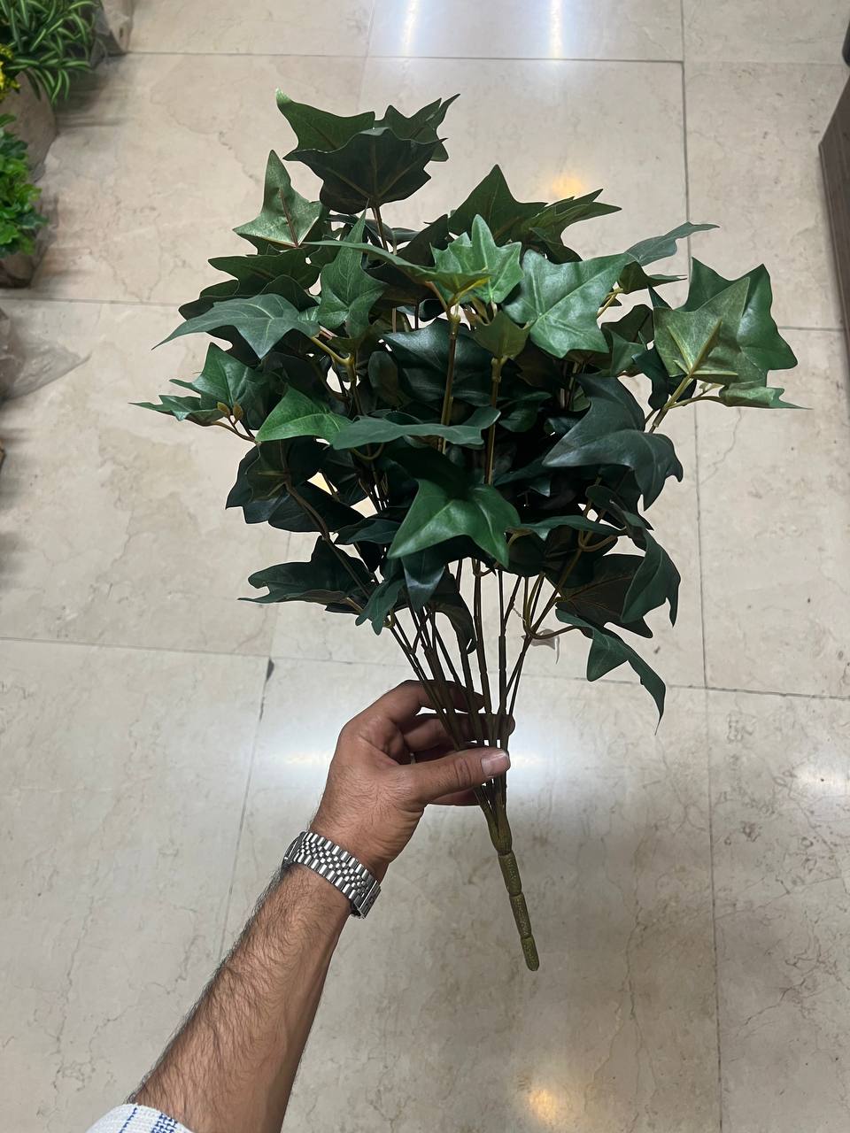 بوته برگ بلند مصنوعی مخصوص باکس