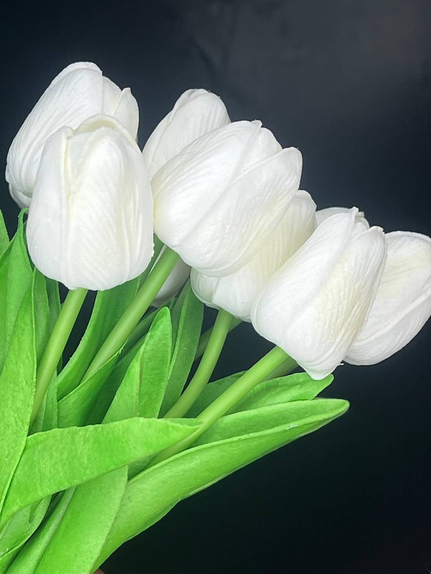 لاله لمسی سفید وارداتی ۵عددی
