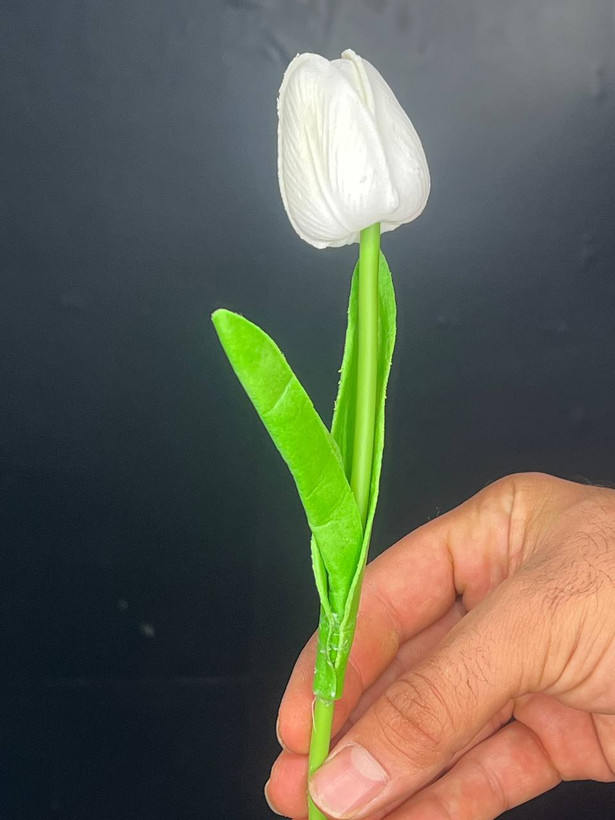 لاله لمسی سفید وارداتی ۵عددی