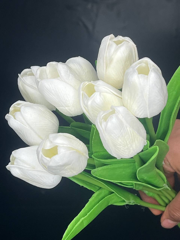 لاله لمسی سفید وارداتی ۵عددی