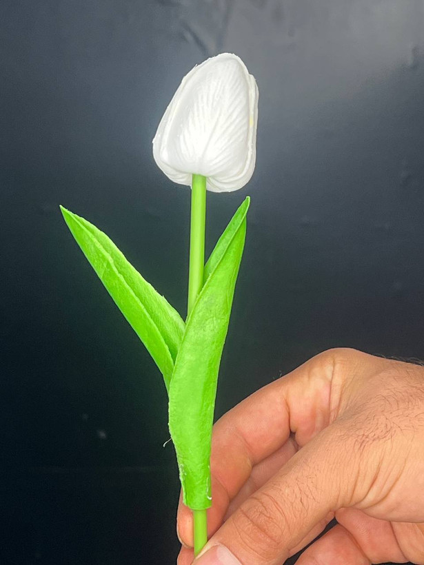 لاله لمسی سفید وارداتی ۵عددی