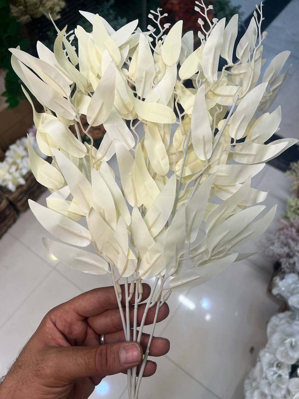 برگ بید مجنون رنگ نباتی