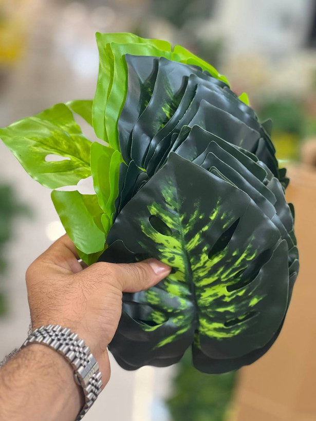 درختچه برگ انجیری ۱۸ برگ ارتفاع ۶۰ سانت