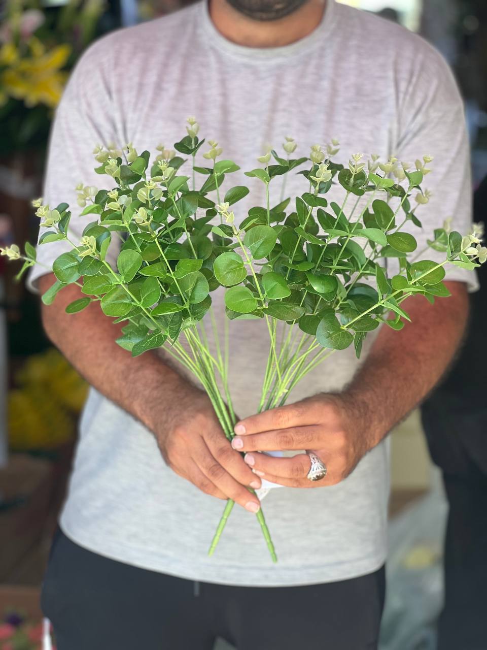 بوته اکالیپتوس مصنوعی سبز