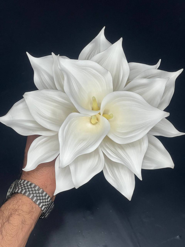 دسته گل عروس شیپوری ( کاله لیلی ) رنگ ثابت
